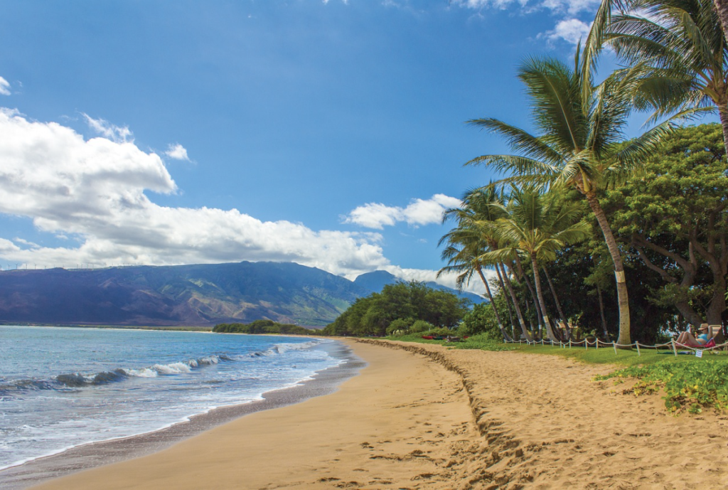 ハワイ留学を徹底解説！選択肢やそれぞれの魅力・スムーズな流れを紹介