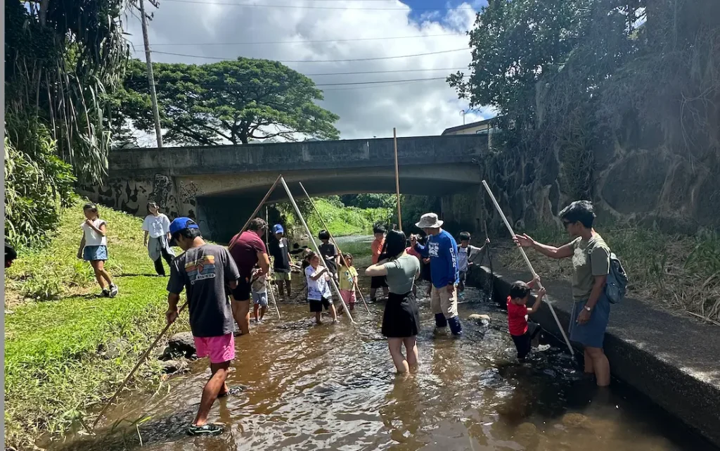Academia Aloha Camp