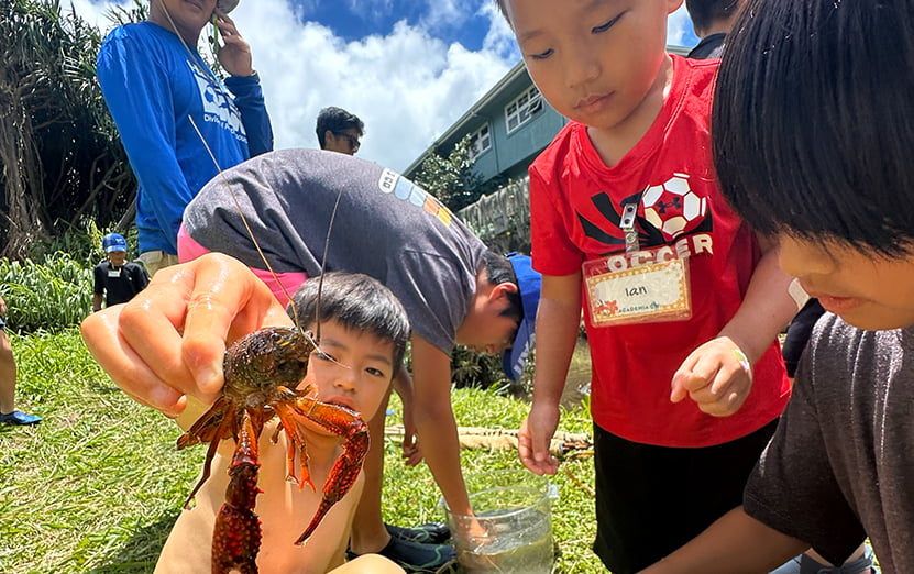 アクティビティを楽しむ様子